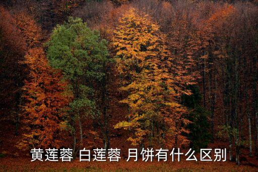 白蓮蓉月餅，蓮蓉月餅是怎樣做