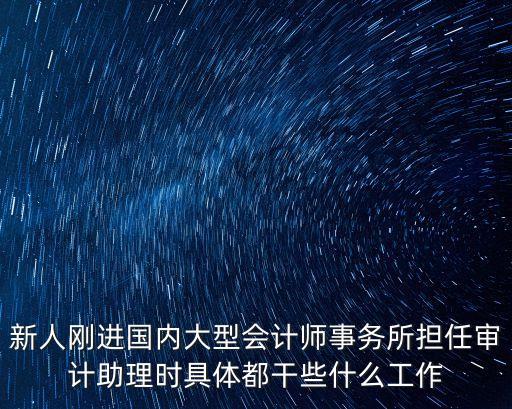 審計助理工作內容，關于審計助理工作