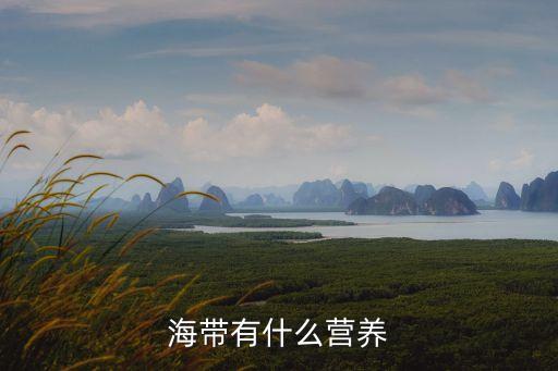 海帶有什么營(yíng)養(yǎng)