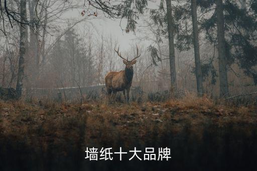 墻紙十大品牌
