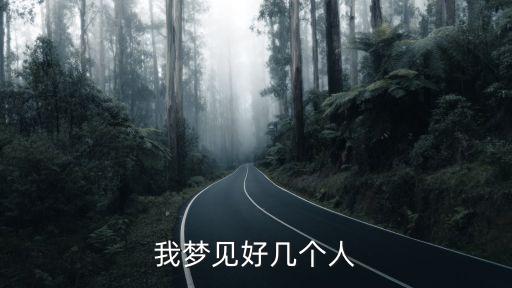 我夢見好幾個人