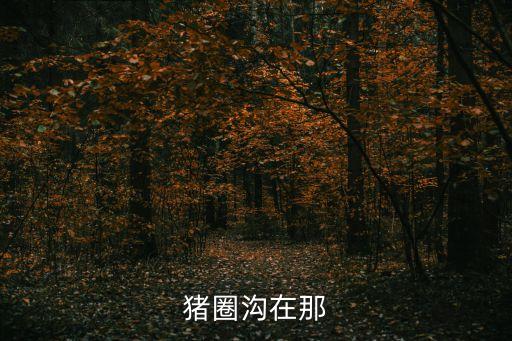 豬圈溝，豬圈溝在那