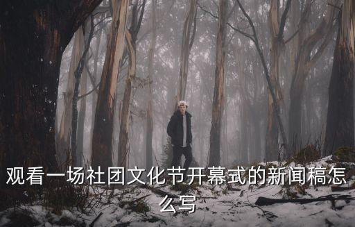 觀看一場社團文化節開幕式的新聞稿怎么寫