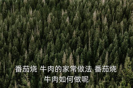 番茄燒牛肉的做法,番茄牛肉怎么做好吃又營養(yǎng)!