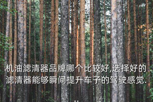 曼牌和馬勒哪個好,中國售后市場上曼牌機油濾清器最受歡迎