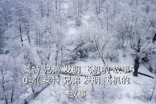  萊特 兄弟 發明 飛機的 故事50字( 萊特 兄弟 發明 飛機的 故事