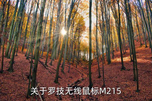 羅技m215，關于羅技無線鼠標M215