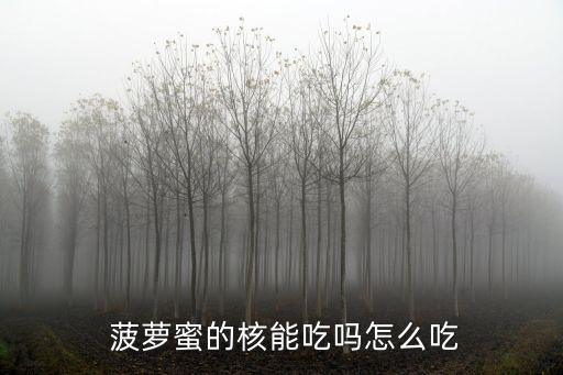  菠蘿蜜的核能吃嗎怎么吃