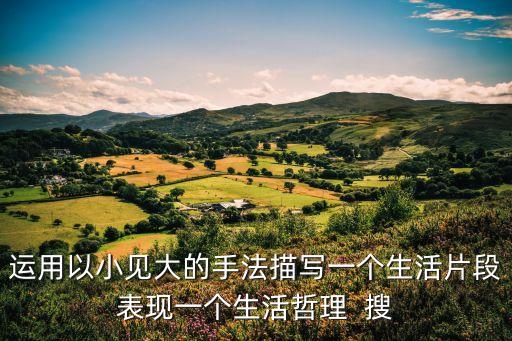 以小見大的片段，運用以小見大的手法描寫一個生活片段表現(xiàn)一個生活哲理  搜
