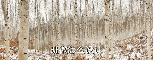 班徽怎么設計
