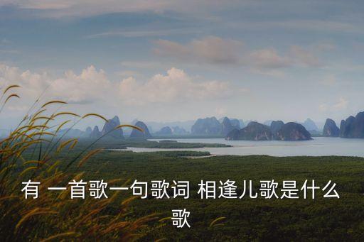 有 一首歌一句歌詞 相逢兒歌是什么歌