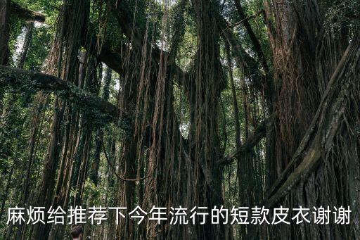 麻煩給推薦下今年流行的短款皮衣謝謝