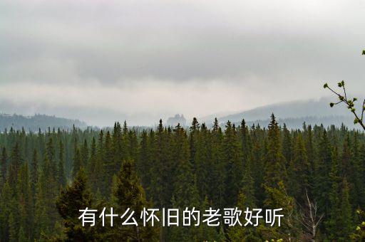 有什么懷舊的老歌好聽(tīng)
