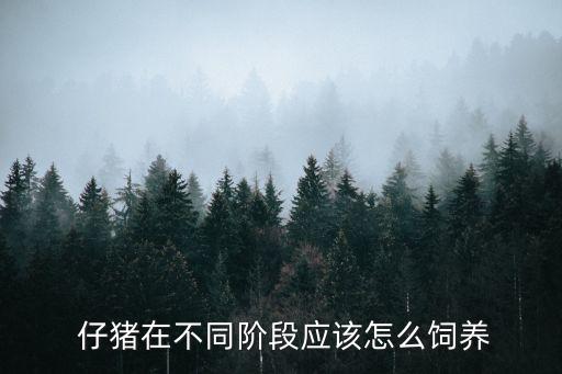 仔豬,仔豬生長速度越快育肥期越短淘汰率越高