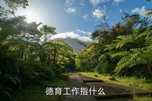 德育工作指什么