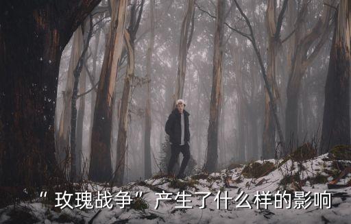 “ 玫瑰戰爭”產生了什么樣的影響