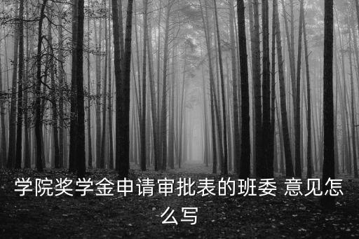 班委會意見,經貿類研究生加入黨支部