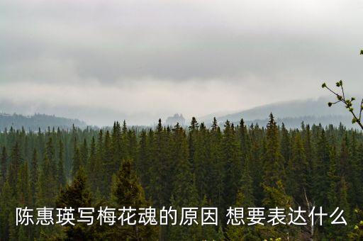 陳惠瑛寫梅花魂的原因 想要表達什么