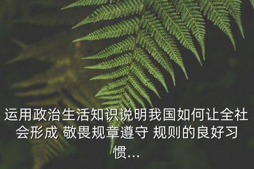 運用政治生活知識說明我國如何讓全社會形成 敬畏規章遵守 規則的良好習慣...