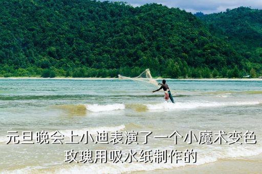 元旦晚會上小迪表演了一個小魔術(shù)變色玫瑰用吸水紙制作的