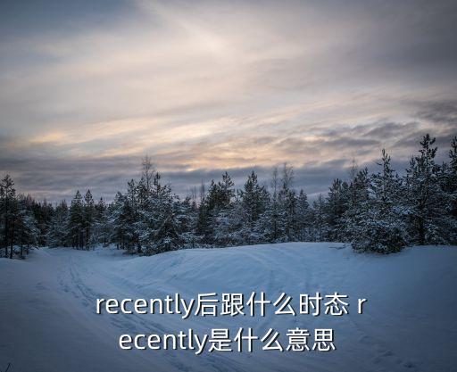 recently什么意思,堅毅向前預算案