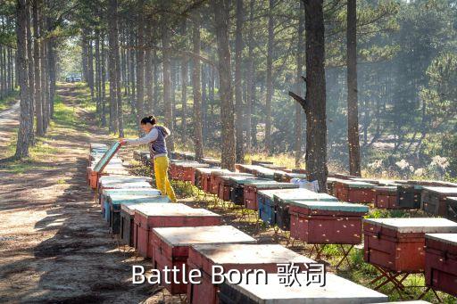 Battle Born 歌詞