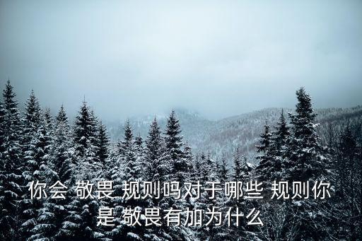 敬畏規則,強化文化建設功能社會敬畏法規