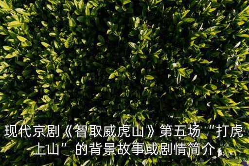 楊子榮簡介,《智取威虎山》張藝謀飾演楊子榮