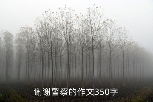感恩警察，親人找到了感謝警察的話語怎么說