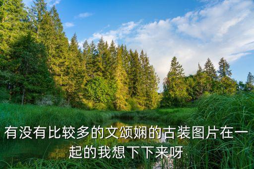 有沒(méi)有比較多的文頌嫻的古裝圖片在一起的我想下下來(lái)呀