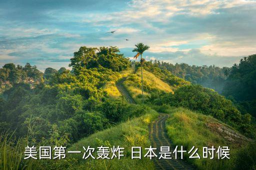 美國第一次轟炸 日本是什么時候