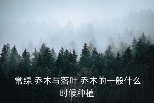  常綠 喬木與落葉 喬木的一般什么時候種植