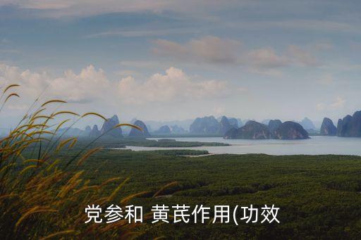  黨參和 黃芪作用(功效