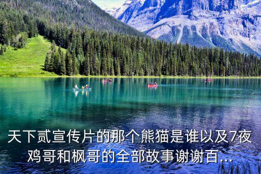 天下貳宣傳片的那個熊貓是誰以及7夜雞哥和楓哥的全部故事謝謝百...