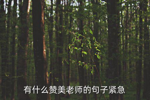 怎么夸老師，贊美老師的話
