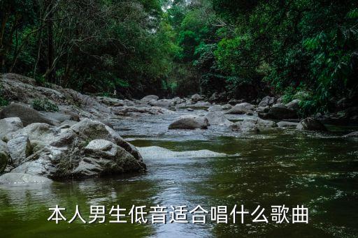 適合男低音唱的歌，本人男生低音適合唱什么歌曲