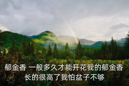 郁金香生長周期，比如郁金香 是不是一個生長周期后就死掉了來年不會有新的了不會