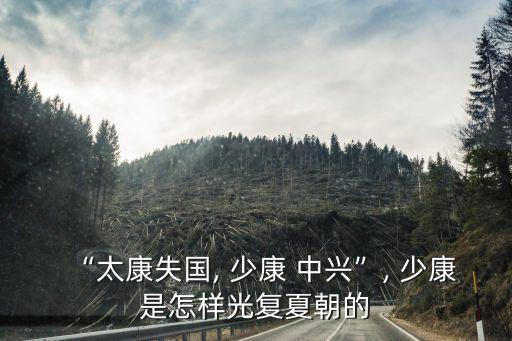少康中興,中興王朝第六代皇帝康成王子之一