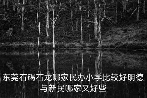 東莞石碣石龍哪家民辦小學比較好明德與新民哪家又好些