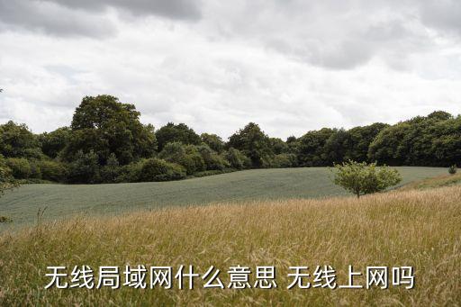 無線局域網什么意思 無線上網嗎