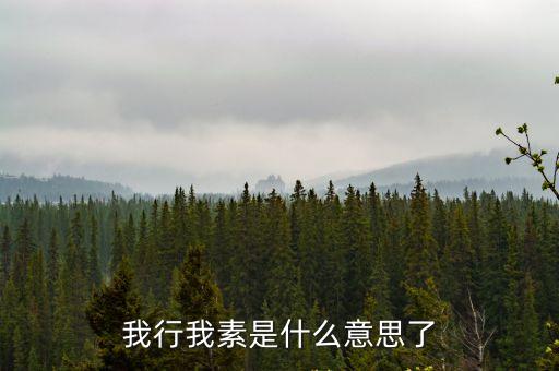 我行我素是什么意思了