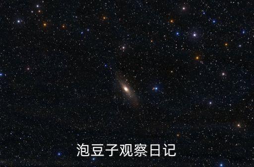泡豆子的觀察日記，300字作文泡豆子四年級觀察日記五則