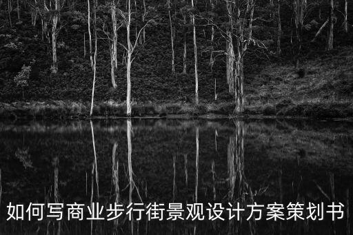 商業街策劃方案，如何寫商業步行街景觀設計方案策劃書