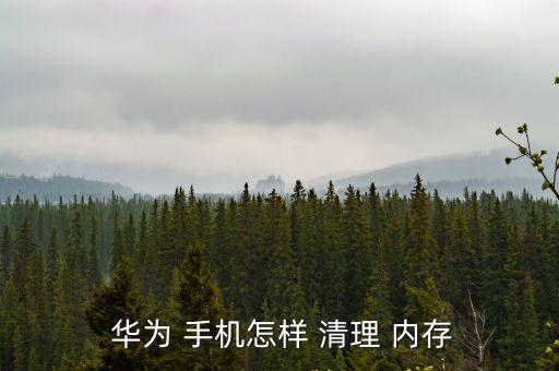  華為 手機(jī)怎樣 清理 內(nèi)存