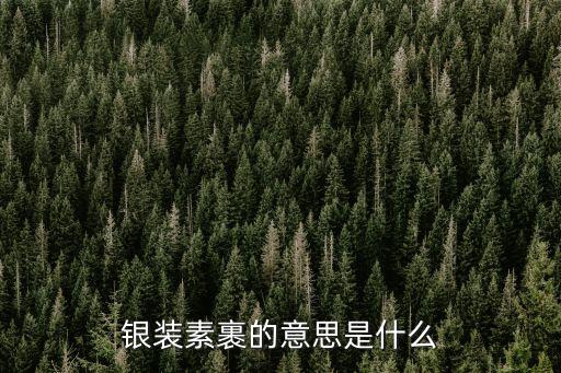 銀裝素裹的意思是什么