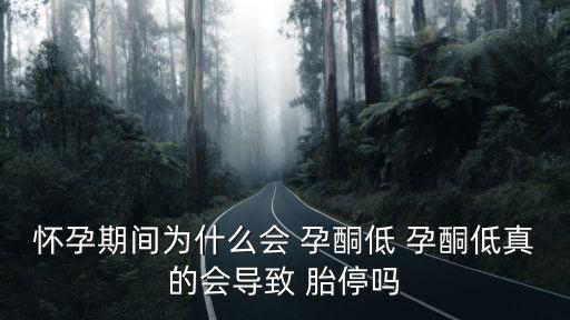 懷孕期間為什么會(huì) 孕酮低 孕酮低真的會(huì)導(dǎo)致 胎停嗎