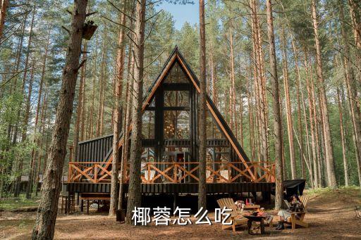 椰蓉奶凍,椰蓉可以用開水沖服嗎?