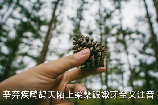 陌上柔桑破嫩芽，辛棄疾鷓鴣天陌上柔桑破嫩芽全文注音