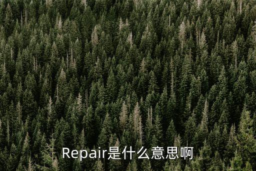 Repair是什么意思啊