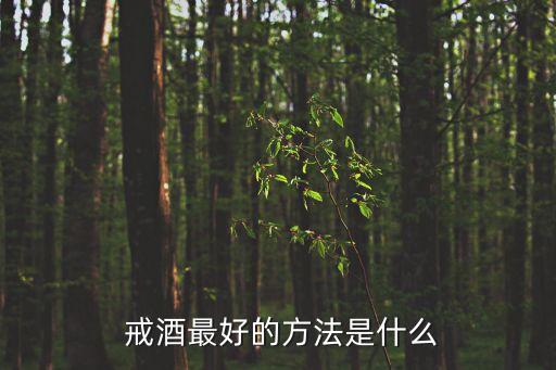  戒酒最好的方法是什么